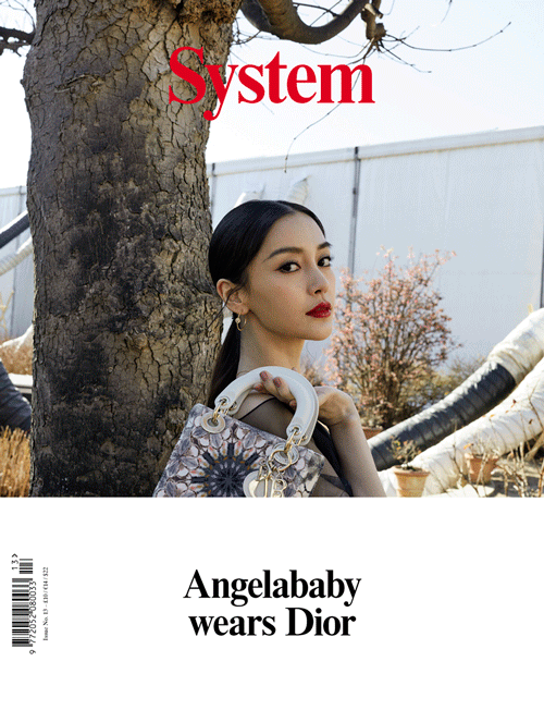 System Issue 13